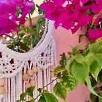 דירה Reginas & Apts-bougainvillea In In The Heart Of Fiscardo With Private Terrace פיסקרדו