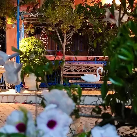 아파트 Reginas & Apts-bougainvillea Fiscardo With Private Terrace *