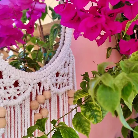 아파트 Reginas & Apts-bougainvillea Fiscardo With Private Terrace 피스카던